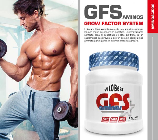 GFS AMINOS MELON 500GR
